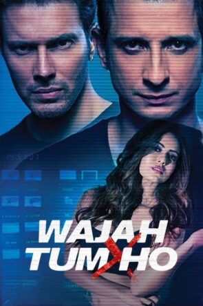 Wajah Tum Ho (2016)