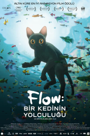 Flow: Bir Kedinin Yolculuğu (2024)